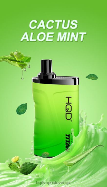 kaktus aloe meta